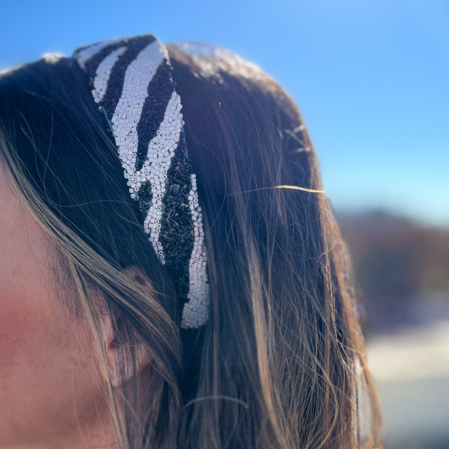 Zebra Headband