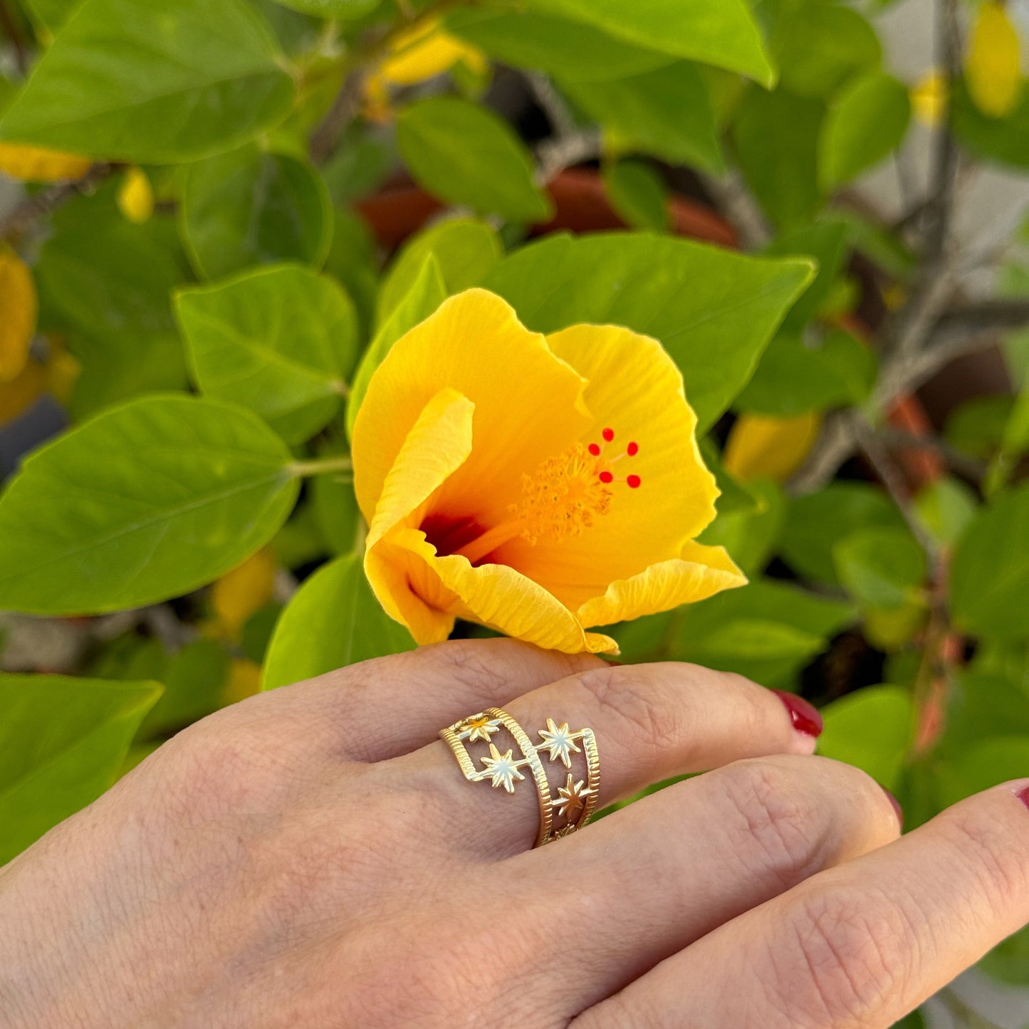 Anillo multiestrellas