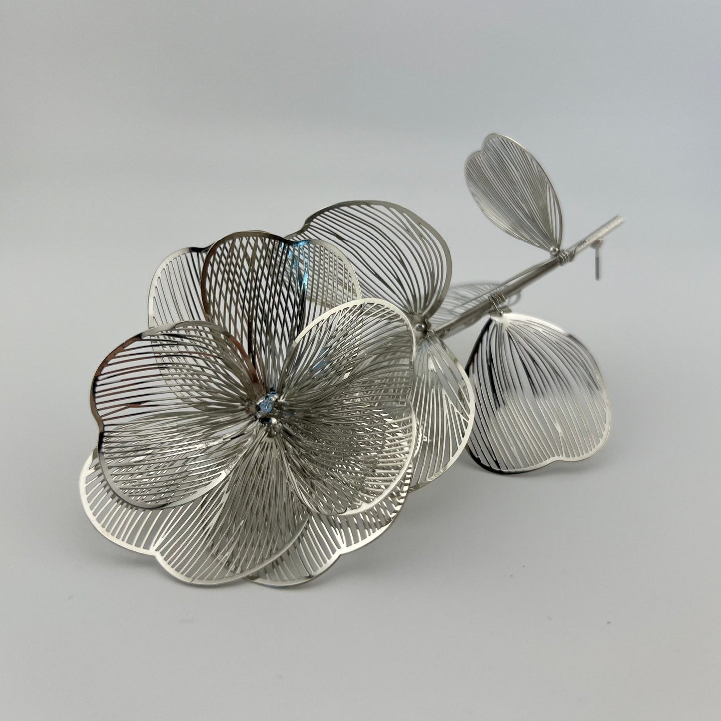 Leaves Model